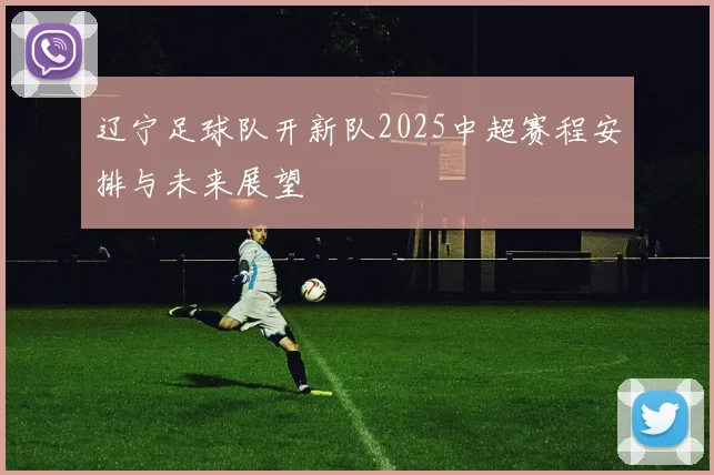 辽宁足球队开新队2025中超赛程安排与未来展望