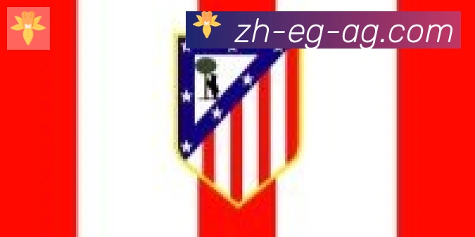 AG娱乐登录合作伙伴